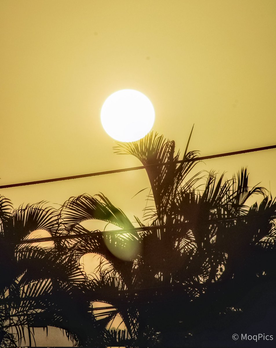 Marcos Quiles (@moqjazz) on Twitter photo La palmita "sostiene" al astro rey, cuya luz es filtrada por el alto nivel de particulados presentes en el aire. #Weather <a href="/carlosomartv/">Carlos Omar</a> <a href="/383_787/">Silvia Verges</a> <a href="/adamonzon/">Ada Monzón</a> <a href="/AWA_013/">Alvarez Wanda</a> <a href="/DeborahTiempo/">Deborah Martorell</a> <a href="/AwildaReyes01/">Awilda Reyes</a> <a href="/StudentOfWX/">Kevin Delbrey</a> <a href="/BoricuaVasca/">Vascaboricua</a> <a href="/SusanSoltero/">Susan Soltero</a> <a href="/Fernando_AF14/">Fernando Aymat 𝕏</a> <a href="/NWSSanJuan/">NWS San Juan</a> <a href="/EliRobainaTV/">Elizabeth Robaina</a> La palmita "sostiene" al astro rey, cuya luz es filtrada por el alto nivel de particulados presentes en el aire. #Weather <a href="/carlosomartv/">Carlos Omar</a> <a href="/383_787/">Silvia Verges</a> <a href="/adamonzon/">Ada Monzón</a> <a href="/AWA_013/">Alvarez Wanda</a> <a href="/DeborahTiempo/">Deborah Martorell</a> <a href="/AwildaReyes01/">Awilda Reyes</a> <a href="/StudentOfWX/">Kevin Delbrey</a> <a href="/BoricuaVasca/">Vascaboricua</a> <a href="/SusanSoltero/">Susan Soltero</a> <a href="/Fernando_AF14/">Fernando Aymat 𝕏</a> <a href="/NWSSanJuan/">NWS San Juan</a> <a href="/EliRobainaTV/">Elizabeth Robaina</a>