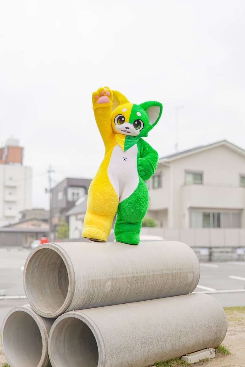 ぼく、見た目より動けるらしい(？)