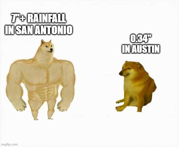 2-5" in Hays county. 7"+ in San Antonio. 

In Austin...