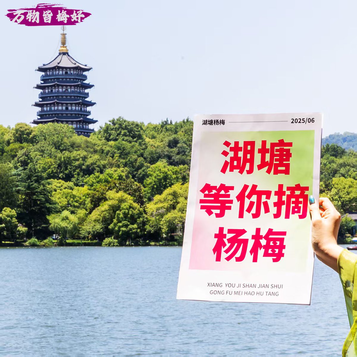 #柯桥湖塘杨梅熟了# 
游江南水乡，看万物梅好
湖塘杨梅倾城出发，闪现杭绍