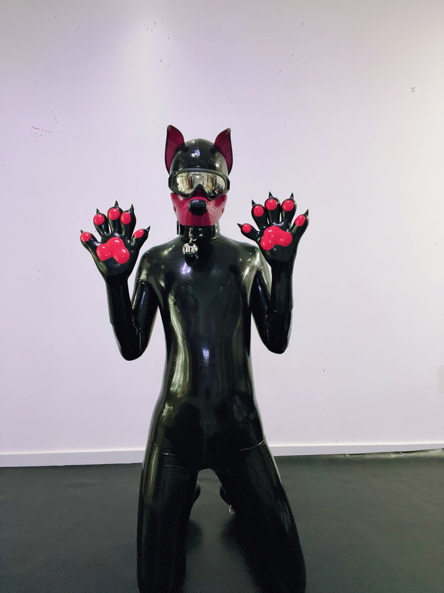 胶化改造已完成，进入下一阶段。
<a href="/furrjoi01/">FURRJOI</a>