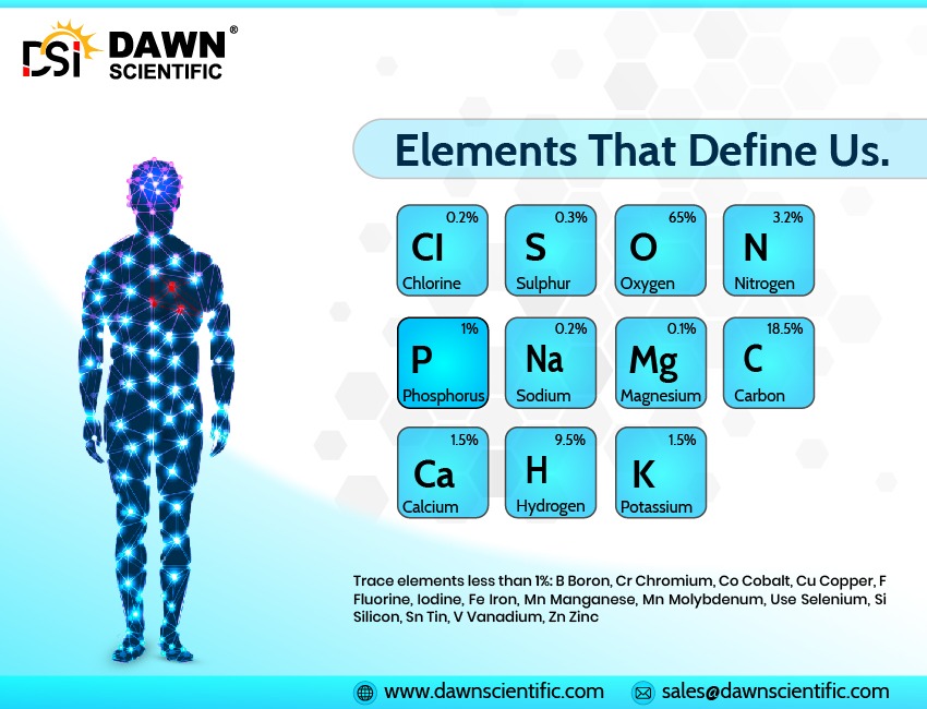 scientific_dawn's tweet image. Grounded in Earth, energized by Fire, nourished by Water, and powered by Air—our bodies are living representations of nature’s elements. 🌱🔥💦
🔗 dawnscientific.com

#LabConsumables #LabSafety #Biotech 
#DawnScientific #newjersey #scientific 
#ElementalBalance #HumanNature