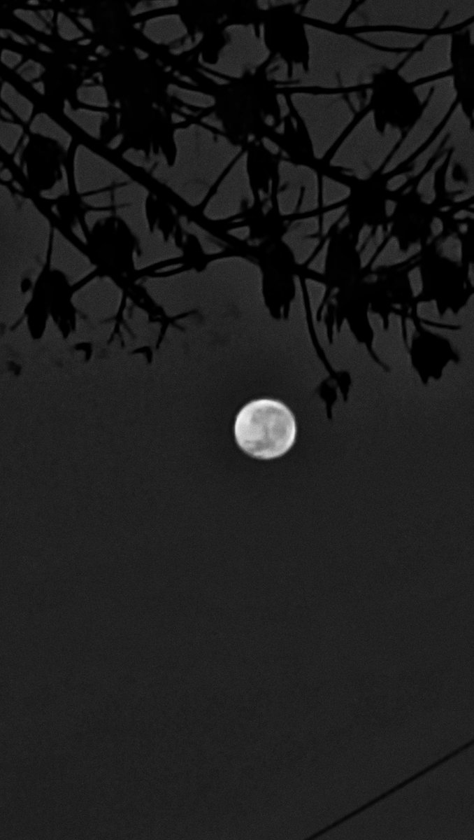 OALM (@oalmuruguay) on Twitter photo Luna matutina, 12/6/25. Xiaomi Redmi 10, zoom X10 + snapseed.
<a href="/dicytmec/">Dirección de Innovación, Ciencia y Tecnología MEC</a> <a href="/MEC_Uruguay/">Ministerio de Educación y Cultura</a> Luna matutina, 12/6/25. Xiaomi Redmi 10, zoom X10 + snapseed.
<a href="/dicytmec/">Dirección de Innovación, Ciencia y Tecnología MEC</a> <a href="/MEC_Uruguay/">Ministerio de Educación y Cultura</a>