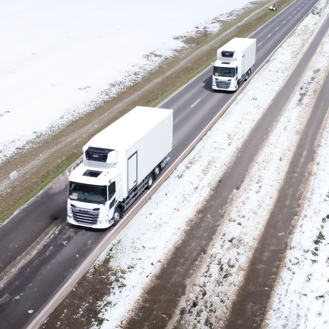 Montracon’s Rigid Fridges have competitive lead times. That’s pretty cool, right?

No need to play ‘Where’s Wally’ looking for great lead times with us — we get your trailers to you hassle-free! But can you find the hidden Rigid Fridge in this pic? Drop a like when you spot it!