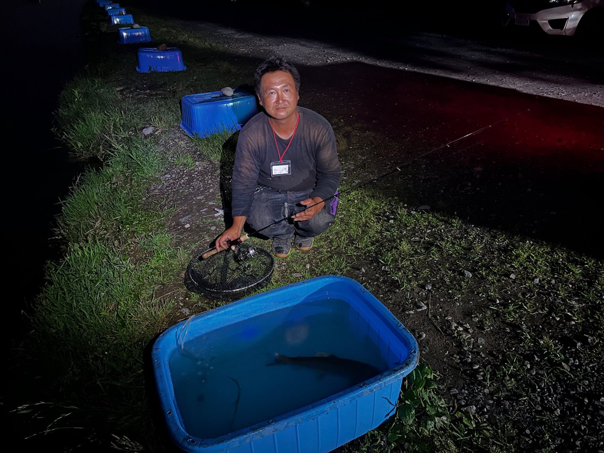 【🌙夜釣り速報！】
ナイターでヤシオマス釣れております！
涼しい夜風を感じながら、パワフルな引きをぜひ体験しに来てください！
営業時間7:00〜21:00（火曜のみ17時まで）

#釣り #管理釣り場 #エリアトラウト #ベアーズパーク #増井養魚場 #ルアーフィッシング #フライフィッシング #ヤシオマス