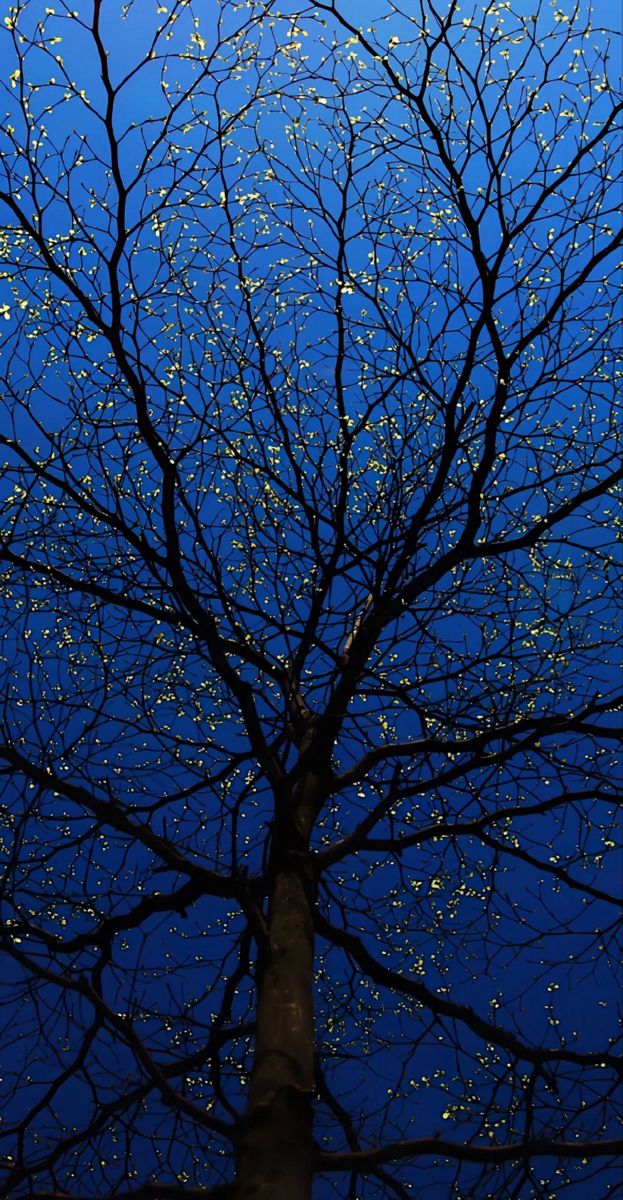 bodrum3535's tweet image. twinkle