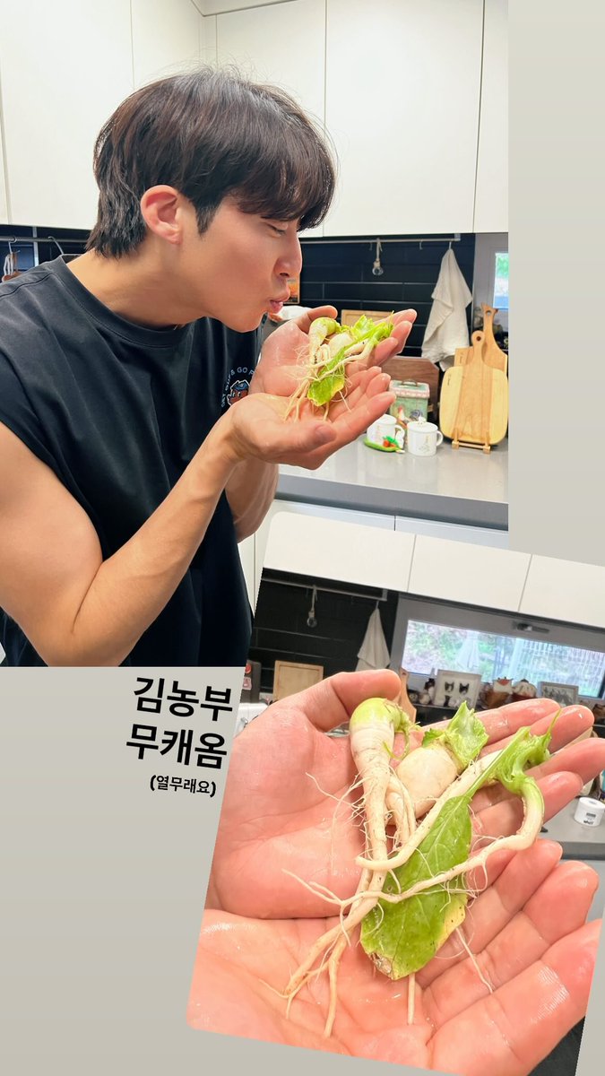 250612 조각모음 인스타 스토리
@ ____sz_____

김농부
무캐옴
(열무래요)