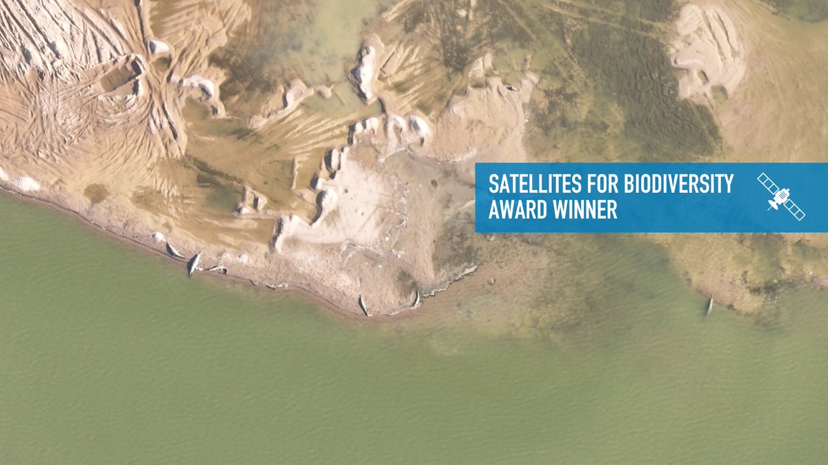 Connected_Cons's tweet image. Proud to support @WCT_India in protecting the Gangetic basin, a lifeline for 500+ million people & the endangered gharial.
With @AirbusFdn, we’re supporting with high-res #satellite imagery, to be combined with AI to monitor, track threats & guide action
connectedconservation.foundation/projects/prote…