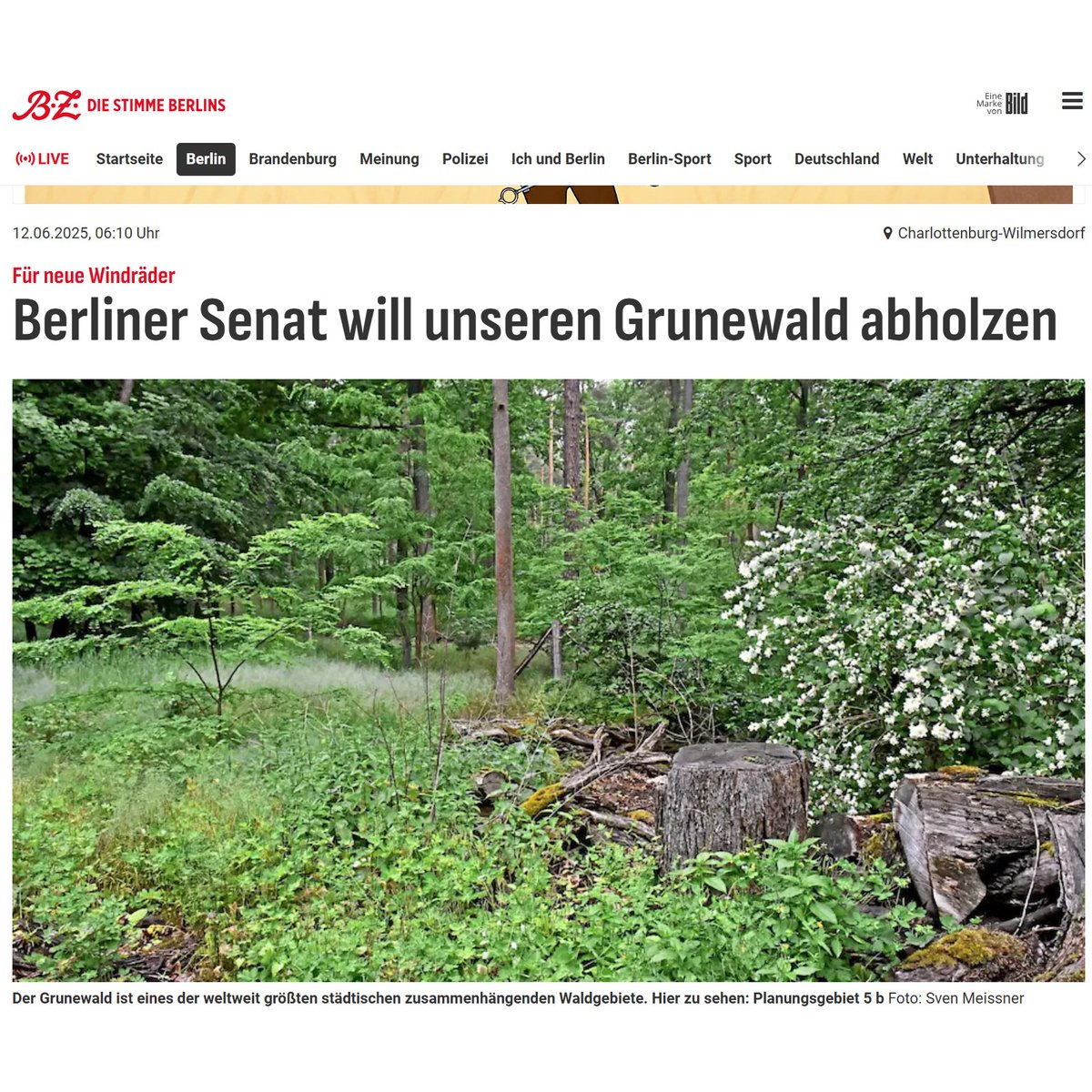 BB12_DE's tweet photo. Die #DUH fordert mehr Grün in Städten und verpflichtende Mindestgrünanteile.🌿
Gleichzeitig soll in Berlin Wald für Windkraft gerodet werden.🪓⚡
Grün retten hier, Grün fällen da – Hauptsache, das Klima hat am Ende recht. 🙃 #Bekloppt!
#Doppelmoral #HitzeCheck #Energiewende https://t.co/YXdatTkI7Y