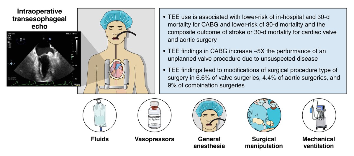 AHA Science (@ahascience) on Twitter photo Published today in <a href="/CircAHA/">Circulation</a>, Considerations of Intraoperative Transesophageal Echocardiography During Adult Cardiac Surgery. Here are three things to know:
Although intraoperative transesophageal echocardiography (TEE) is increasingly important in cardiac surgery for monitoring, Published today in <a href="/CircAHA/">Circulation</a>, Considerations of Intraoperative Transesophageal Echocardiography During Adult Cardiac Surgery. Here are three things to know:
Although intraoperative transesophageal echocardiography (TEE) is increasingly important in cardiac surgery for monitoring,