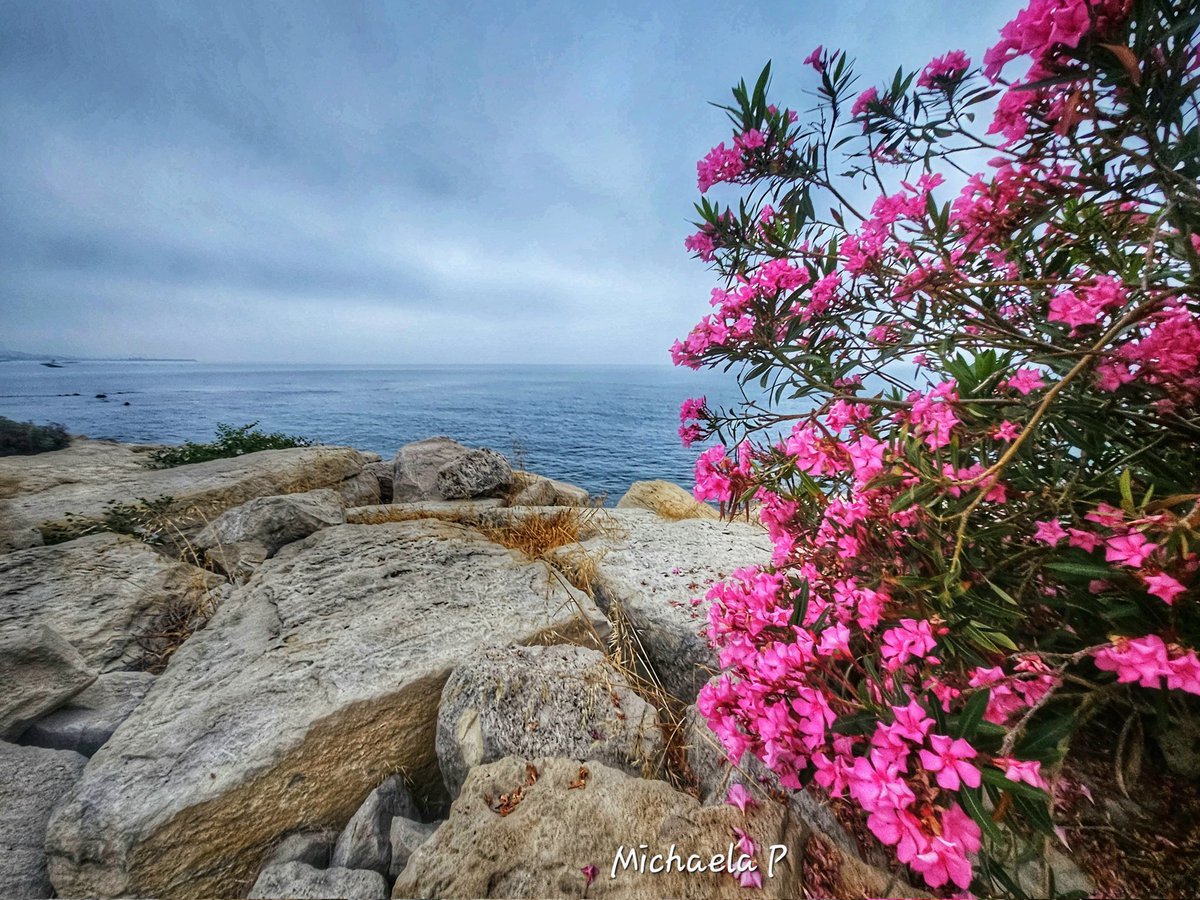 michaela_peri's tweet image. Even on a #cloudyday  , the blue sky is still there ... 💙

#NaturePhotography