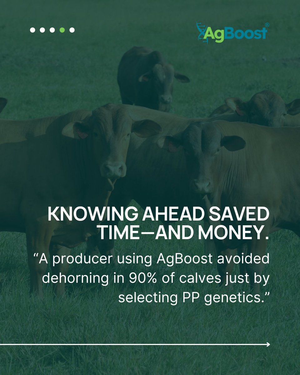 No surprises on whether your calves need dehorning! 🐄 Understanding Horned/Polled genetics is key for predictability, animal welfare, and time management. Swipe to learn more! ➡️ 

#AgBoost #IGENITY #GeneticData #PolledCattle #SmartRanching