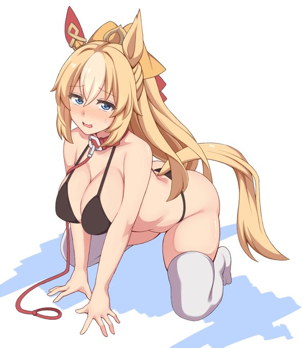 流星描き忘れてたんで上げなおし
聖犬デュランダル 