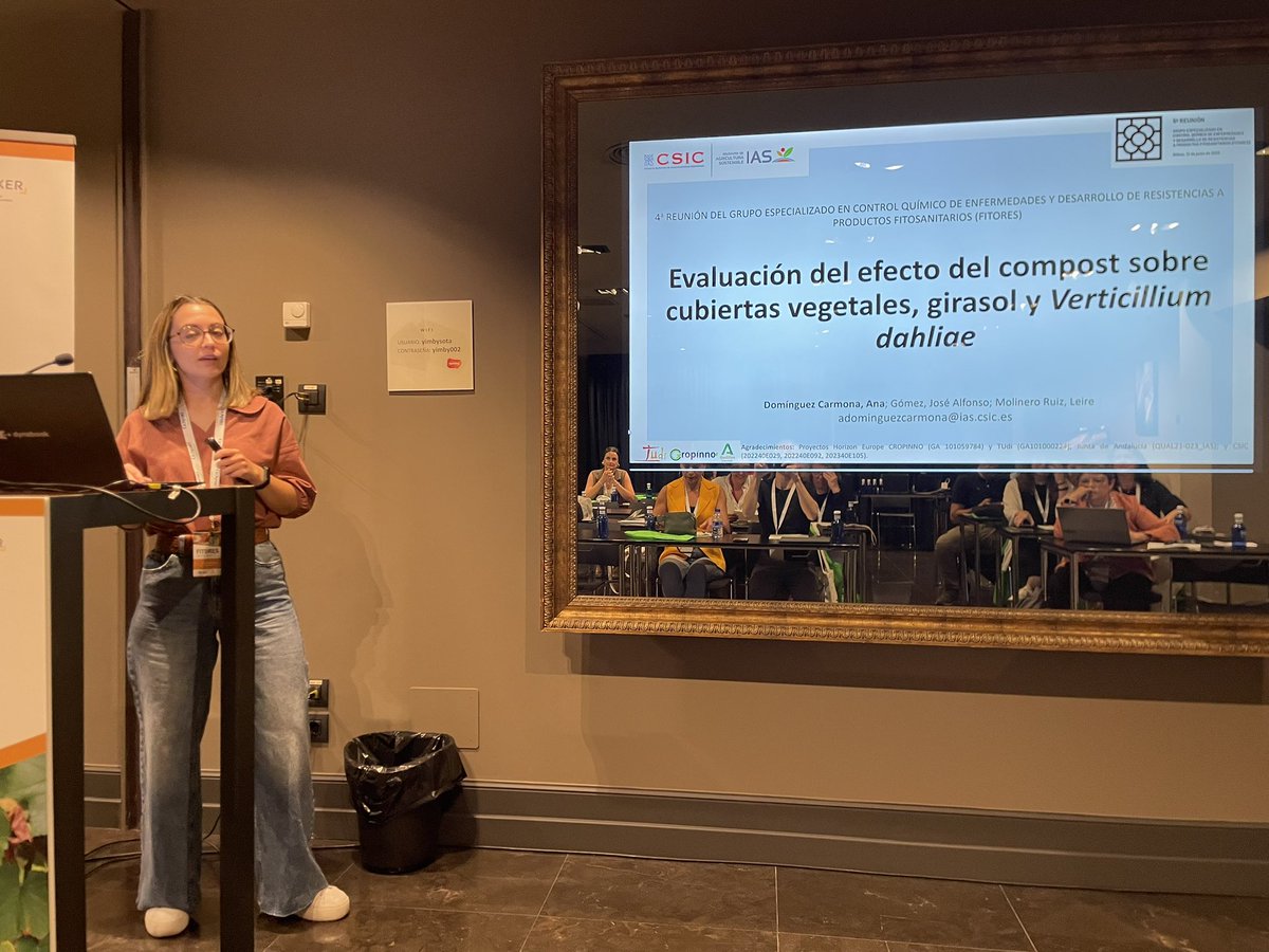 FITORES_SEF tweet media