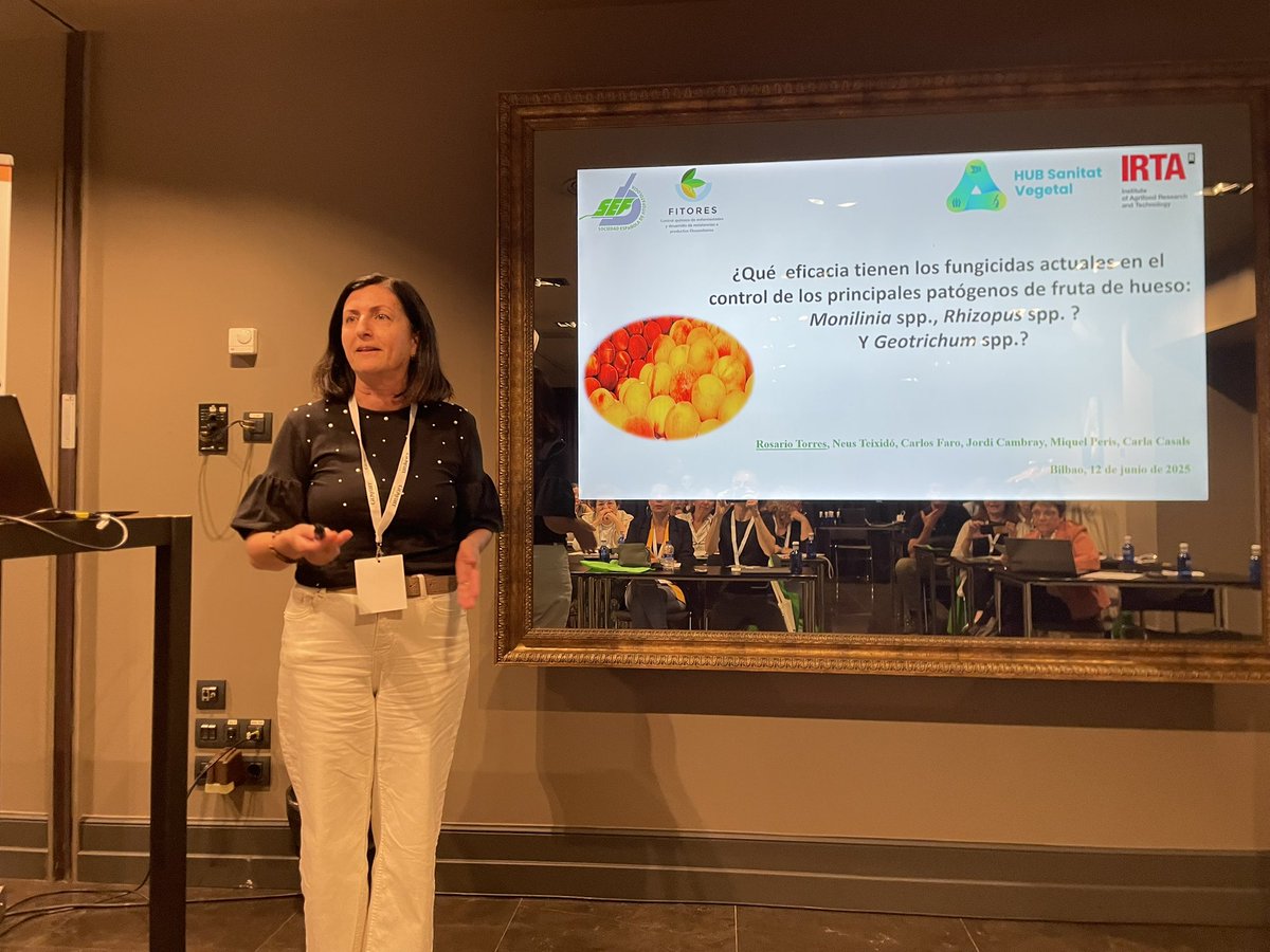 FITORES_SEF tweet media