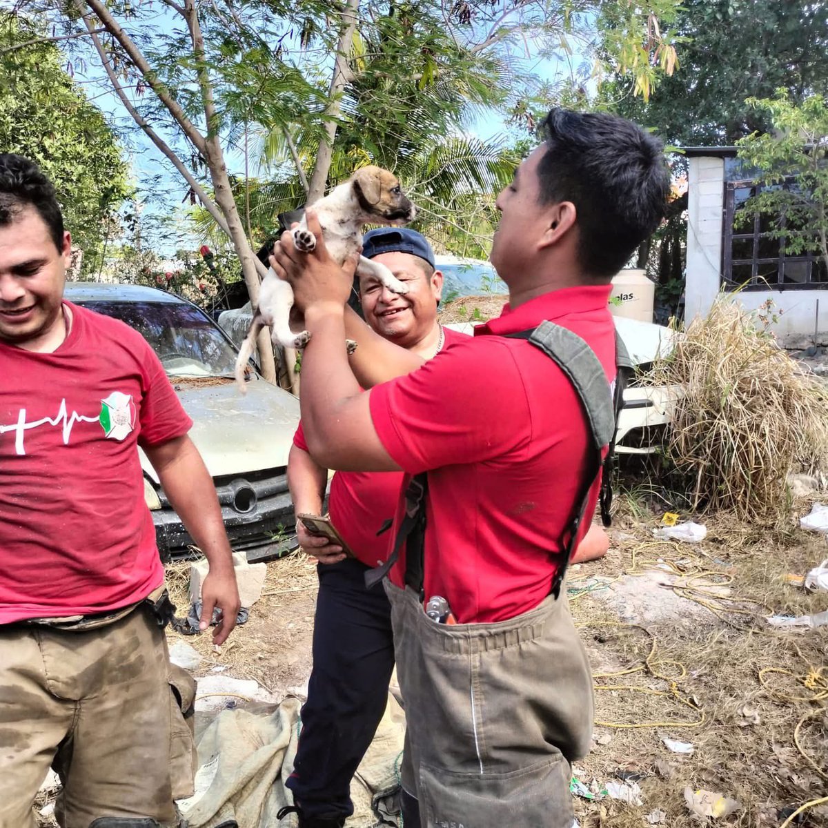 El perrito fue valorado, alimentado e hidratado; se encuentra en buenas condiciones y ya fue adoptado.🐾

⚠️ Además, el hueco fue tapado para evitar futuros riesgos. Prevenir también es proteger.

#CancúnNosUne #PorLaTransformación 🤝