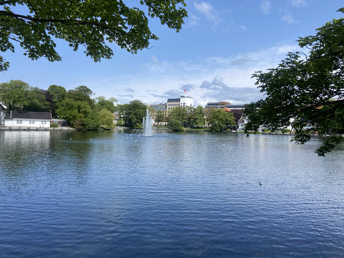 Mark Rowe tweet media