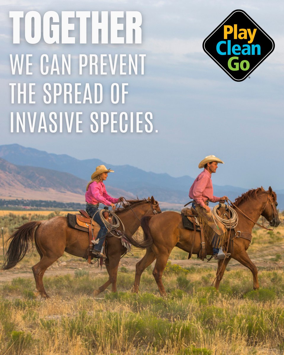 NAISMAorg's tweet image. Celebrate @PlayCleanGo Awareness Week by riding responsibly! Feed your horse #certifiedweedfree hay before visiting public lands, and carry a handheld #bootbrush to clean your boots and gear on the go. #PlayCleanGo #PlayCleanGoWeek