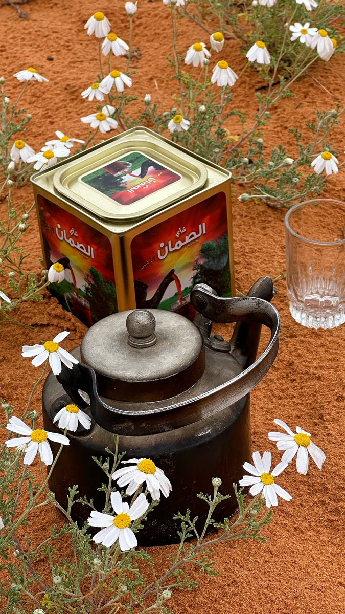 #شتاء ٤٦
#الزلفي