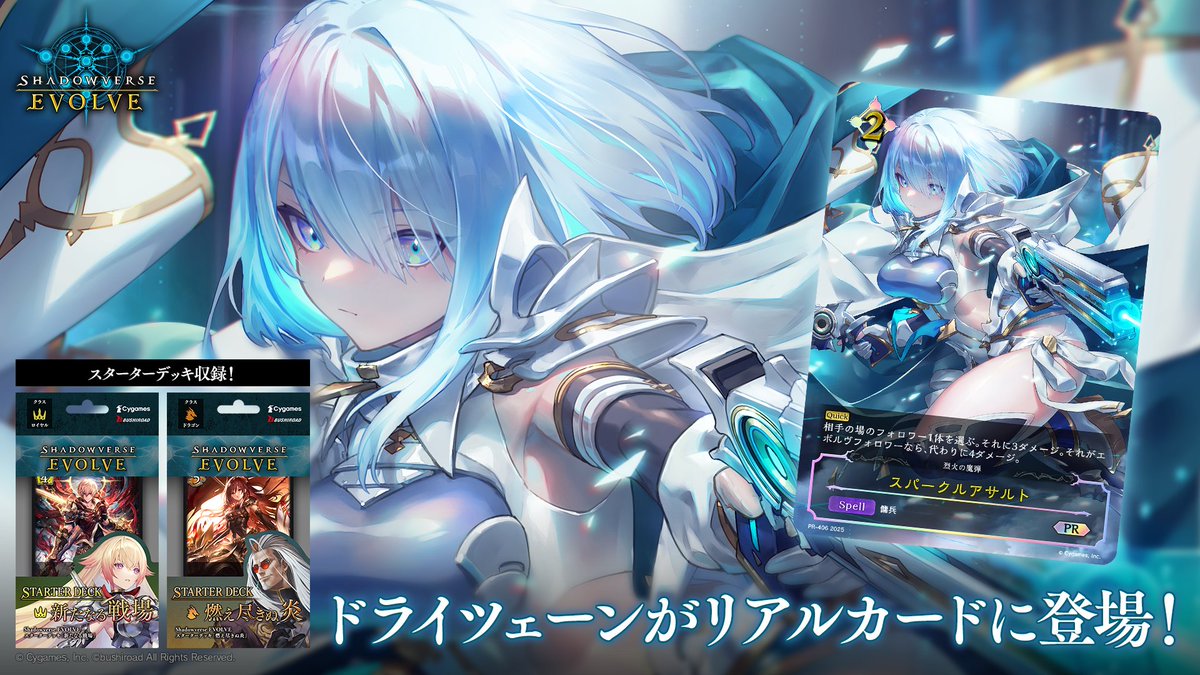 ドライツェーン　デッキケース　スリーブ　スペシャルスターターセット エボルヴ ドライツェーン デッキケース スリーブ スペシャルスターター