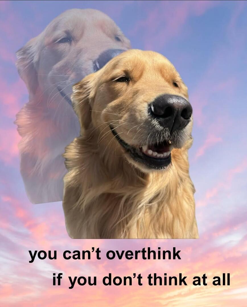 Don't overthink!! /u/Internal_Bumblebee28 #memes #dankmemes