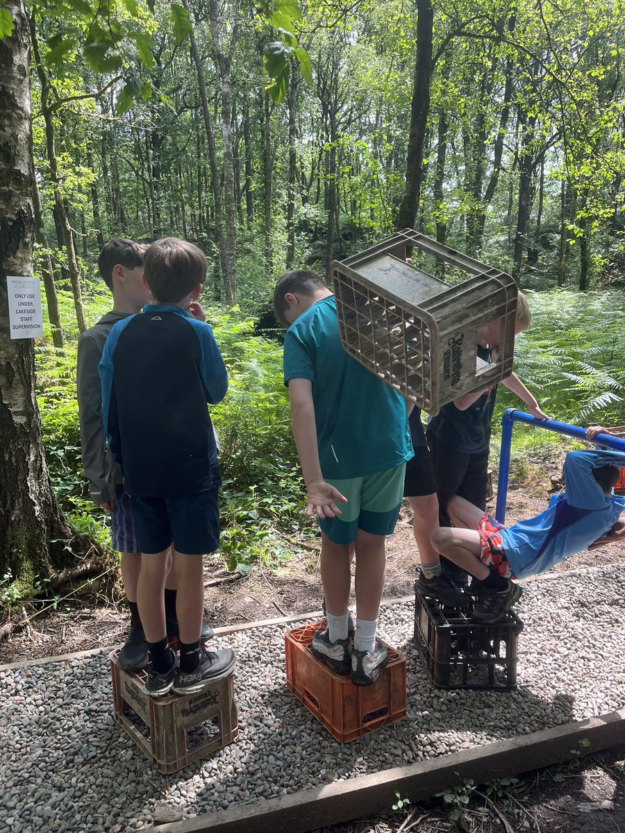 mattarnprimary tweet media