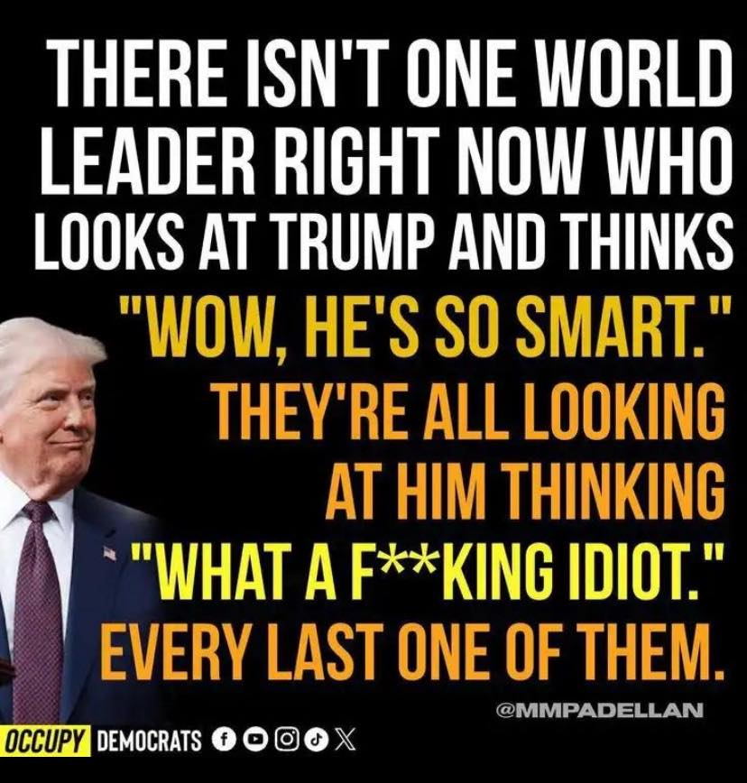 suzie hayman (@sustie) on Twitter photo 