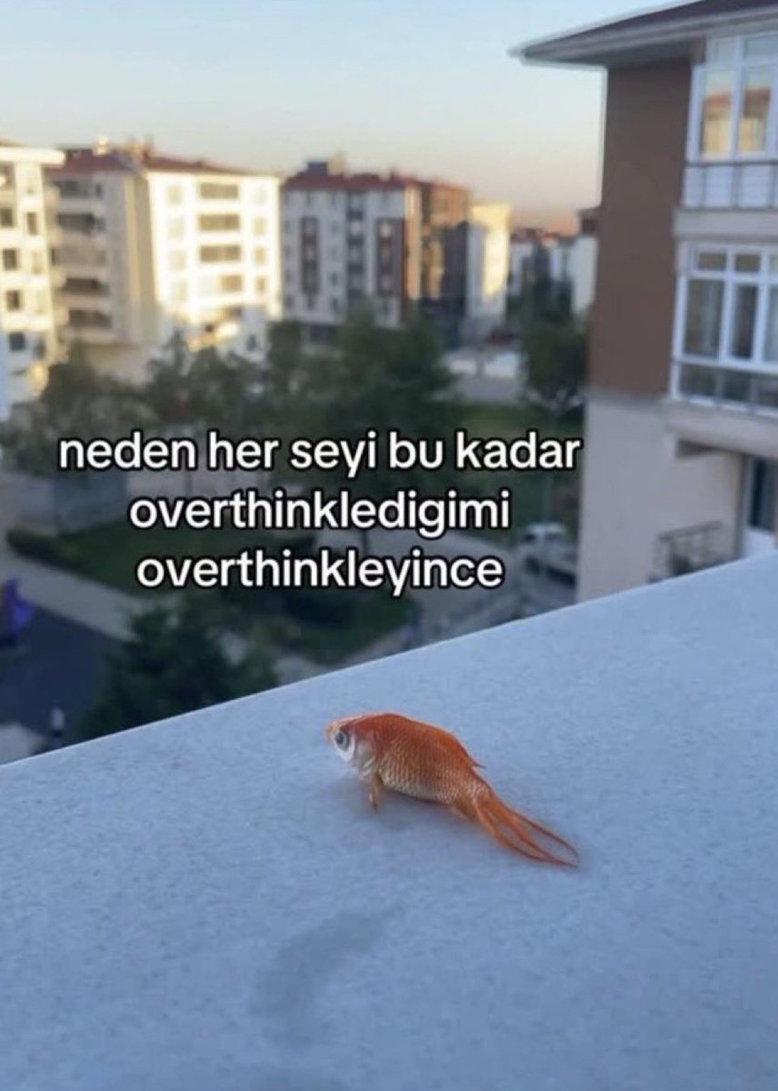 Mehmet Erden (@mhmterdenn) on Twitter photo 