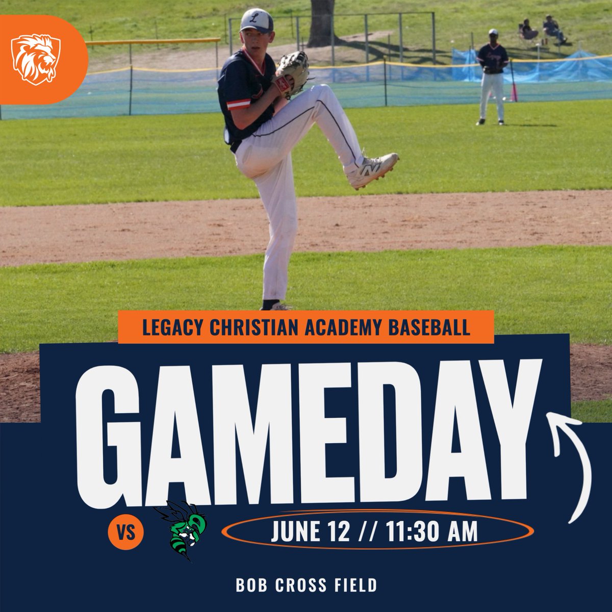 The baseball team plays in the MSHSL Class A Consolation Semi-finals this morning against the Hornets from Frazee! Head over to Sauk Rapids and cheer on the team! The winner will play in the Consolation Championship at 1:30pm. Go Lions!