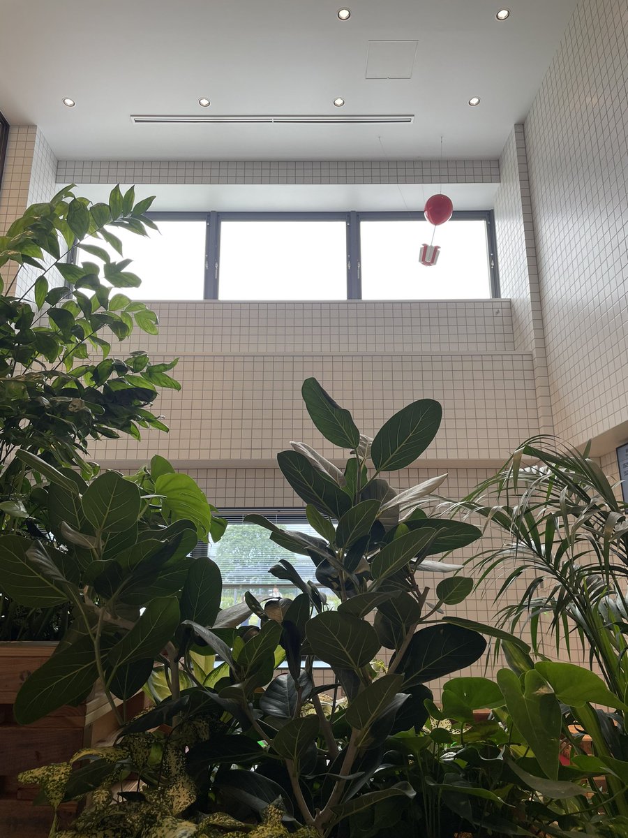 haphap_ei's tweet image. 裏切らない世界観