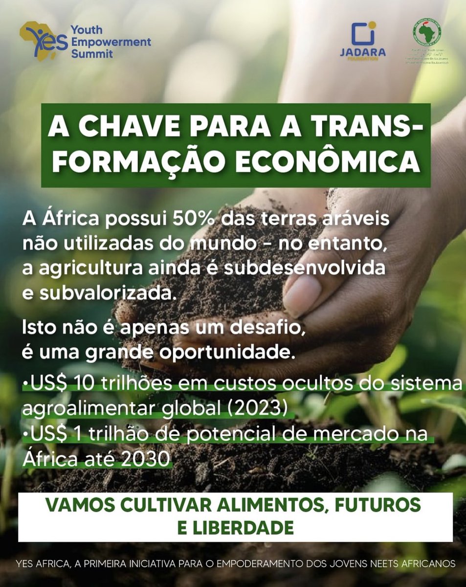 Africa Youth Empowerment Summit tweet media