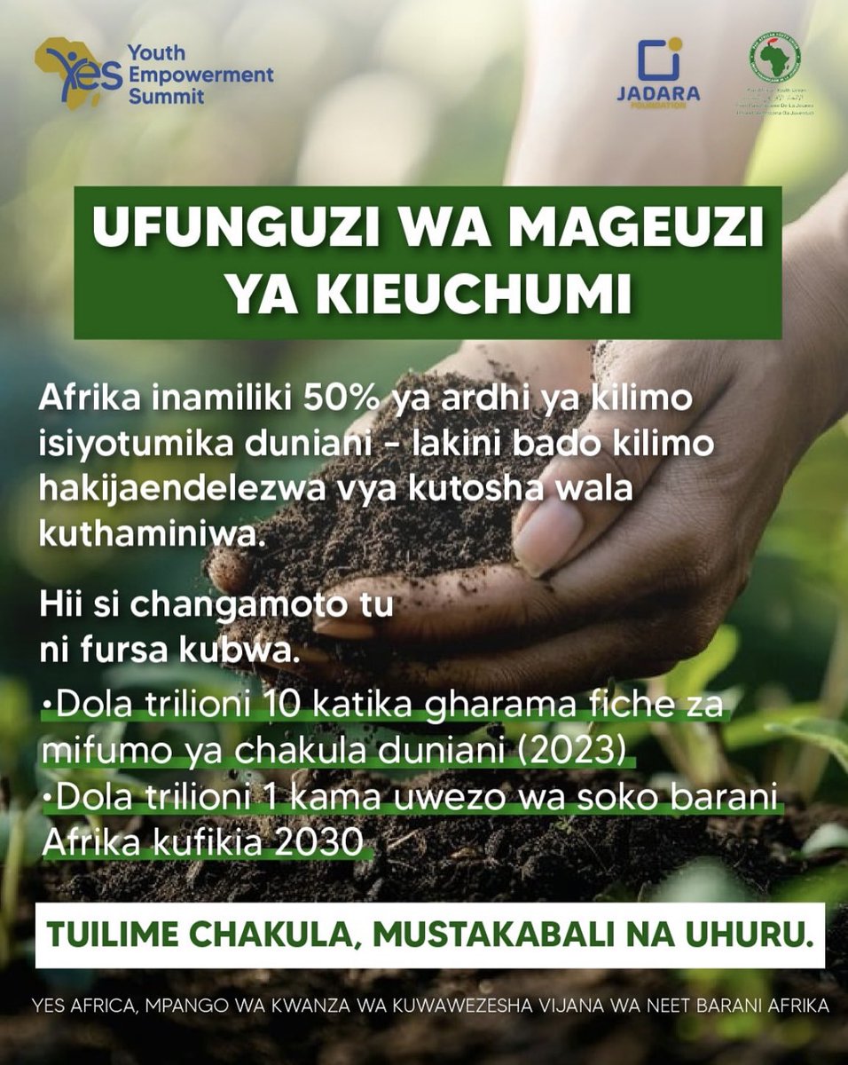 Africa Youth Empowerment Summit tweet media