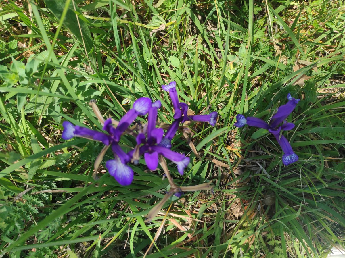 Rabbim senden afiyet isterim
Beden din ve dünyamda selamet isterim
🥀🥀🥀