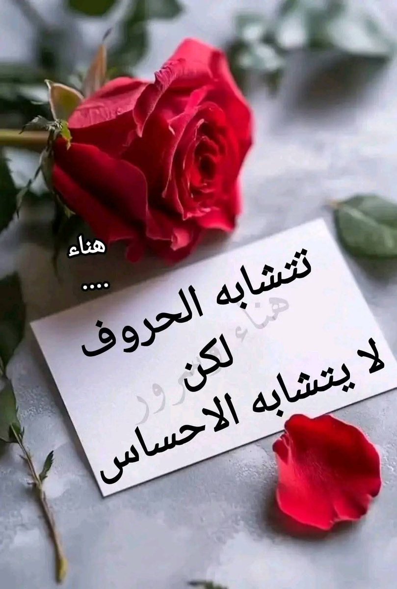 عبير الورد 🌹🌹 (@gghh5282) on Twitter photo 
