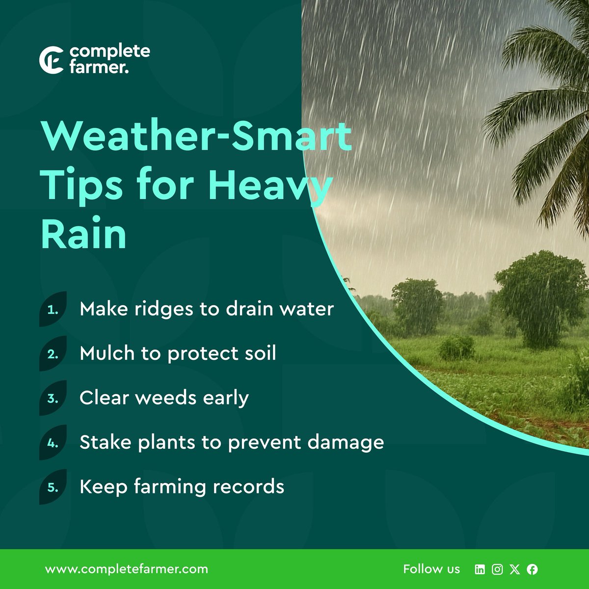 CompleteFarmer's tweet photo. Too much rain? Try these easy tips to keep your farm safe and healthy this June.
#WeatherSmart #FarmTips #CompleteFarmer https://t.co/KF6pHOrTXH