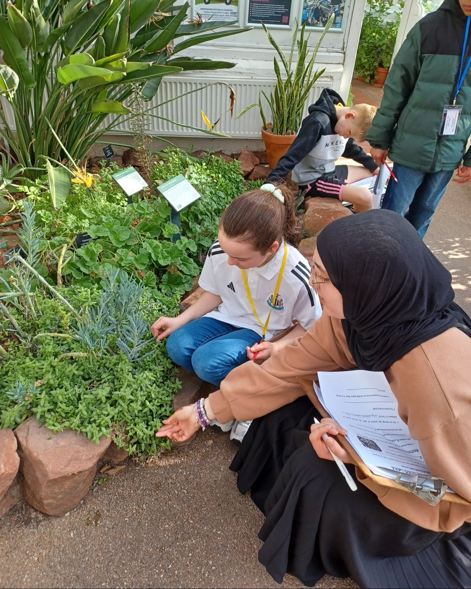 Sense (@sensecharity) on Twitter photo Our green-fingered group of young carers loved visiting the Birmingham Botanical Gardens. They explored hundreds of unusual plants not found anywhere else in the UK, and had a great time spending the day with their friends in nature!
#YoungCarers <a href="/ForwardCarers/">ForwardCarers</a> Our green-fingered group of young carers loved visiting the Birmingham Botanical Gardens. They explored hundreds of unusual plants not found anywhere else in the UK, and had a great time spending the day with their friends in nature!
#YoungCarers <a href="/ForwardCarers/">ForwardCarers</a>