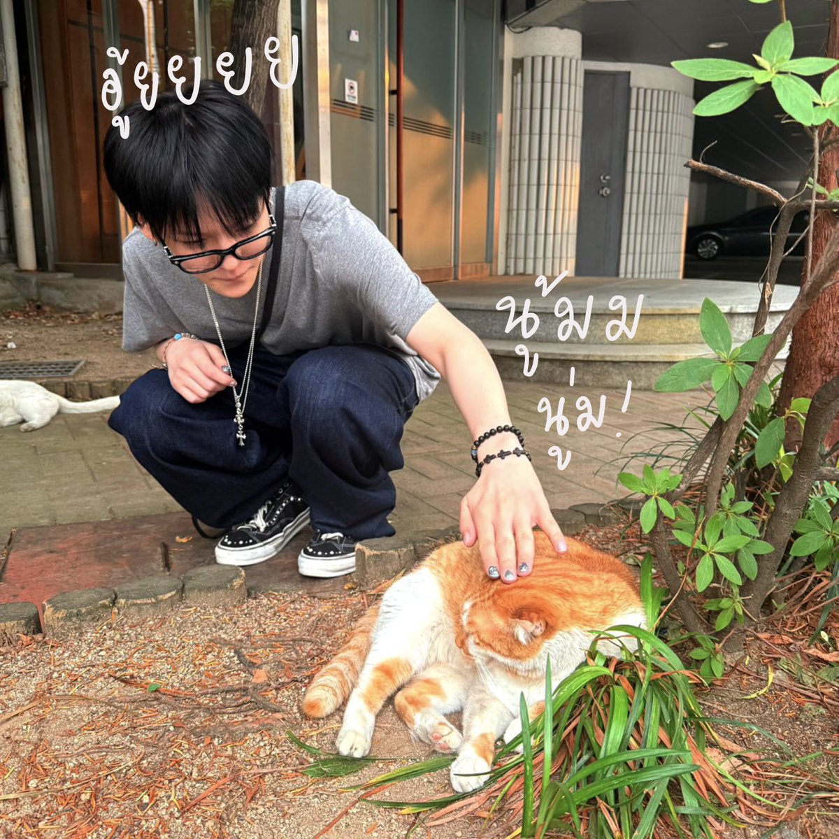 treasure_nxm's tweet photo. อย่ากัดเลานะ เลาพ่กเดียวกัน https://t.co/rwmqQHFFx0