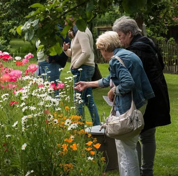 VisitTiel's tweet photo. Tuinliefhebbers opgelet!. Aankomend weekend (14 en 15 juni 2025) Betuwse Tuinenroute. Liefhebbers van tuinen, planten, bomen, vijvers, natuur, Betuwse boomgaarden kunnen hun hart ophalen. Ook 2 tuinen in #Tiel doen mee. Genieten! Meer info: https://t.co/BTsUyFu29z #Vlindertuin https://t.co/gtVIqk9cML