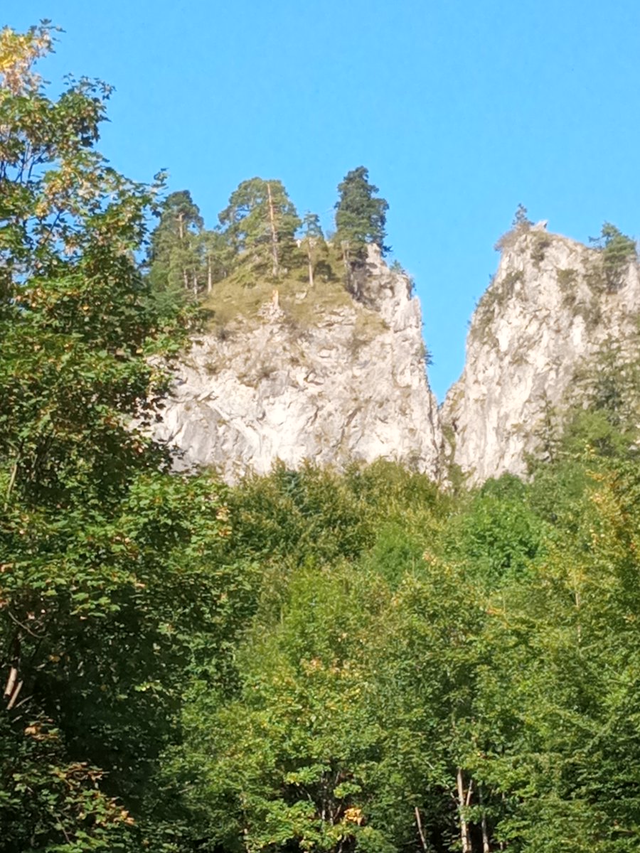 Bergwanderung. Naturlandschaft. Handy Foto. Gigaset