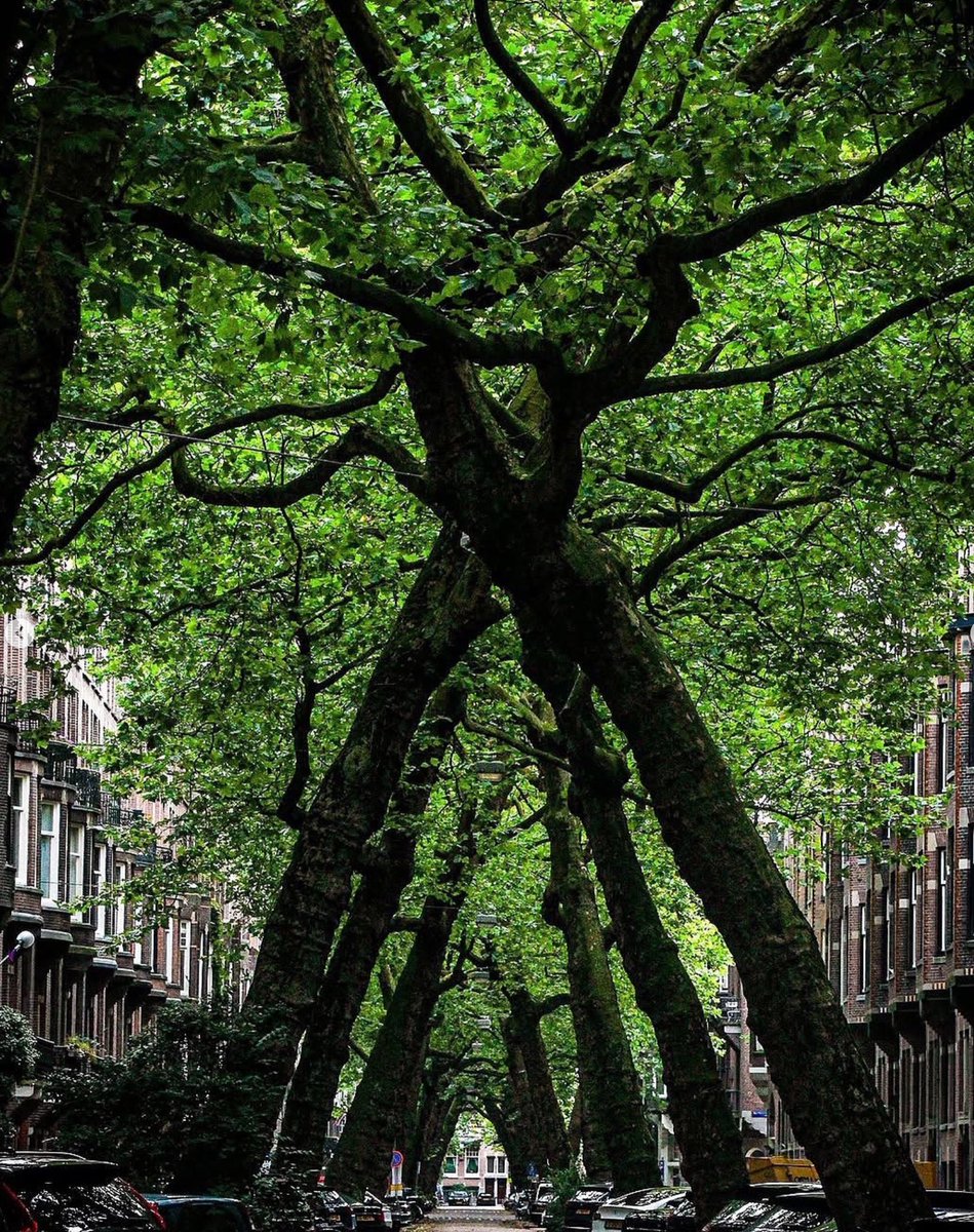 Good gorgeous morning friends!

Many of you are unaware at how amazing you really are. The way you make people laugh, lift others up, or spread some extra love around. Thank you for making X such a beautiful place.

💚   May your day be blessed beyond compare!  💚