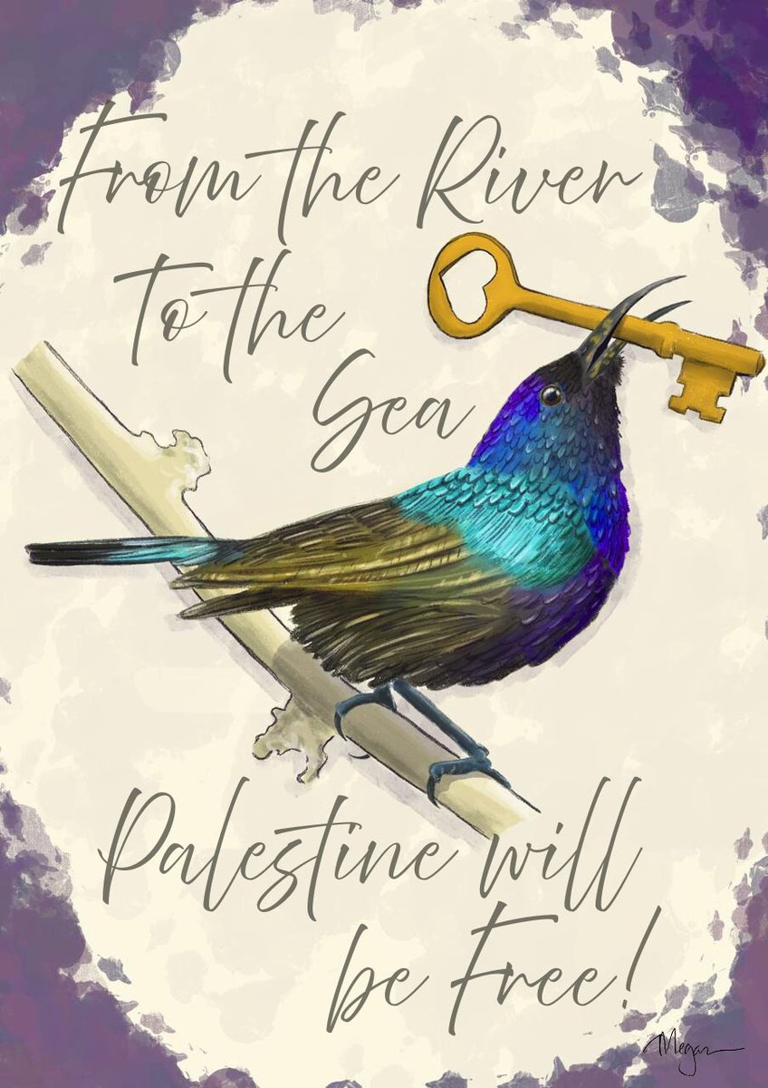MegTegal's tweet photo. Made a quick sketch of the Palest!ne sunbird. In 2015 the sunbird was declared the national bird of Palest!ne after Israel occupation authorities tried to change its name in their effort to erase Palest!n!an identity. https://t.co/hMjmDV7DZ4