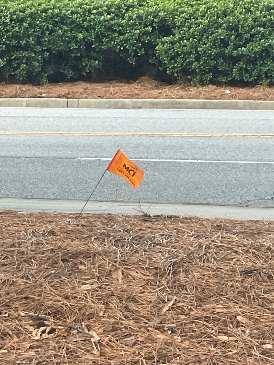 RobsChatter's tweet photo. A collector's item spotted in the wild. https://t.co/7tVxCzUCfM