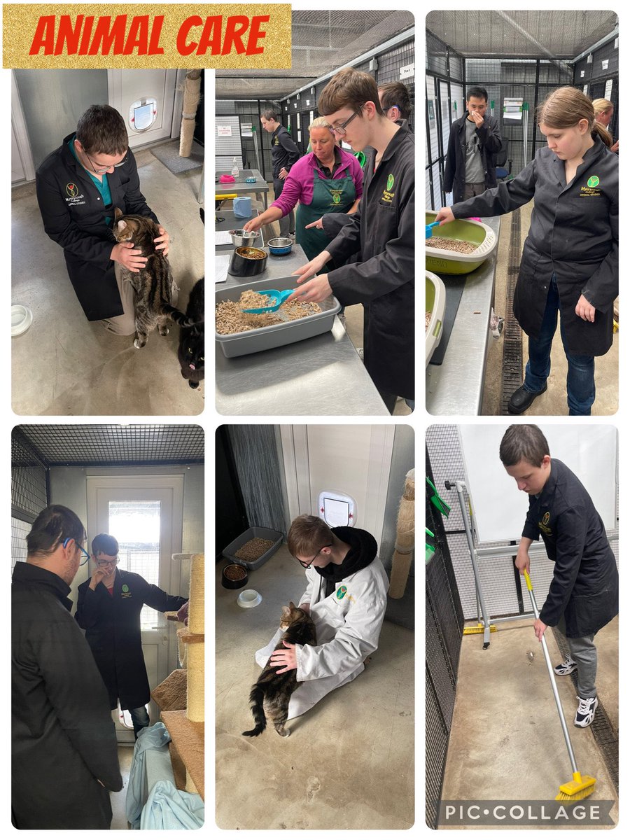 PCAOracle's tweet image. Our students throughly enjoyed their college placements this week at @MyerscoughColl and @b_and_fc
These external opportunities continue to provide real-world learning in a supportive environment, and our students are already looking forward to next week’s session! @PCABlackpool