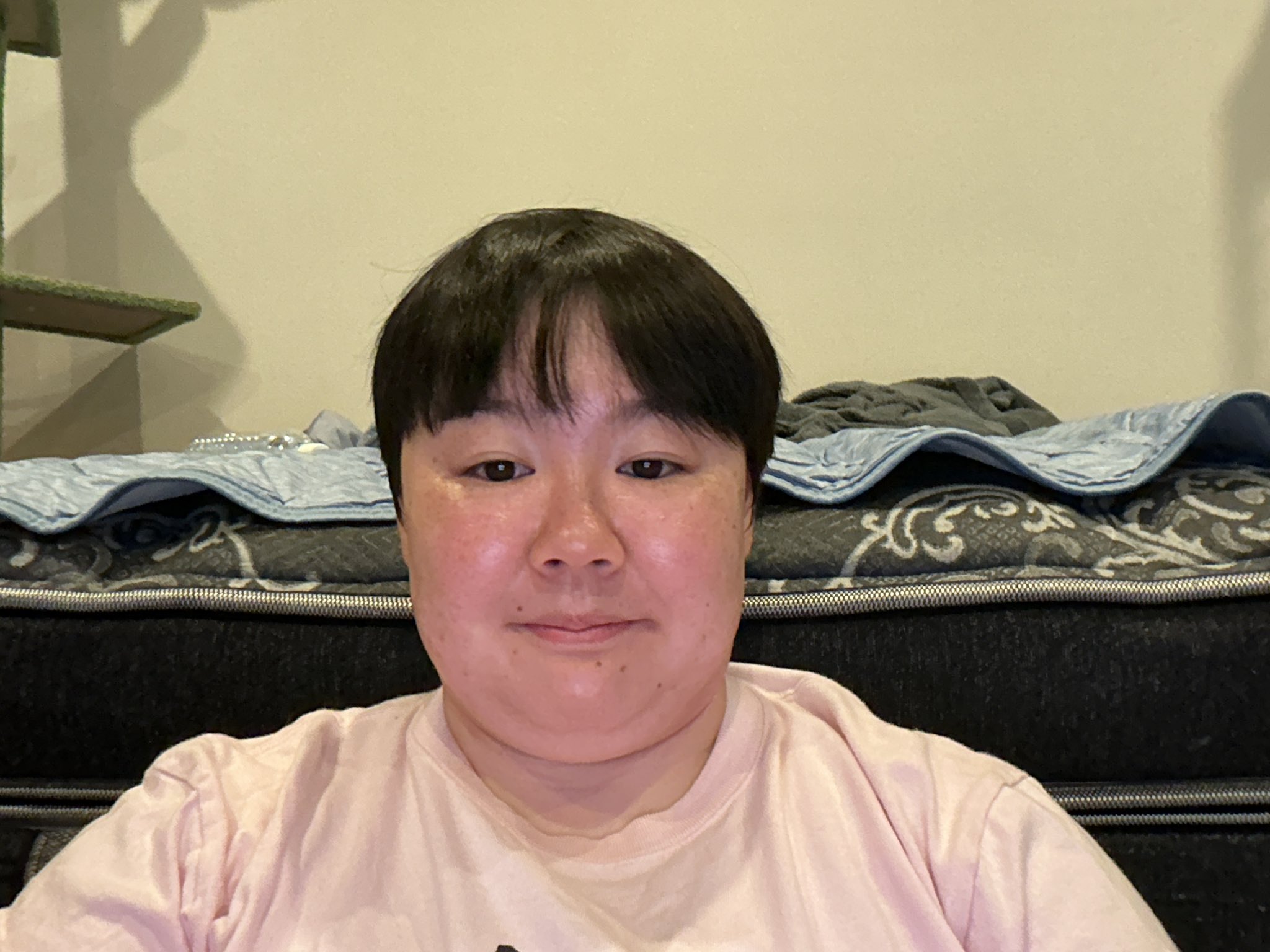 やすこぷページです 安全靴 XEBEC ジーベック セフティシューズ 85155 鋼製先芯