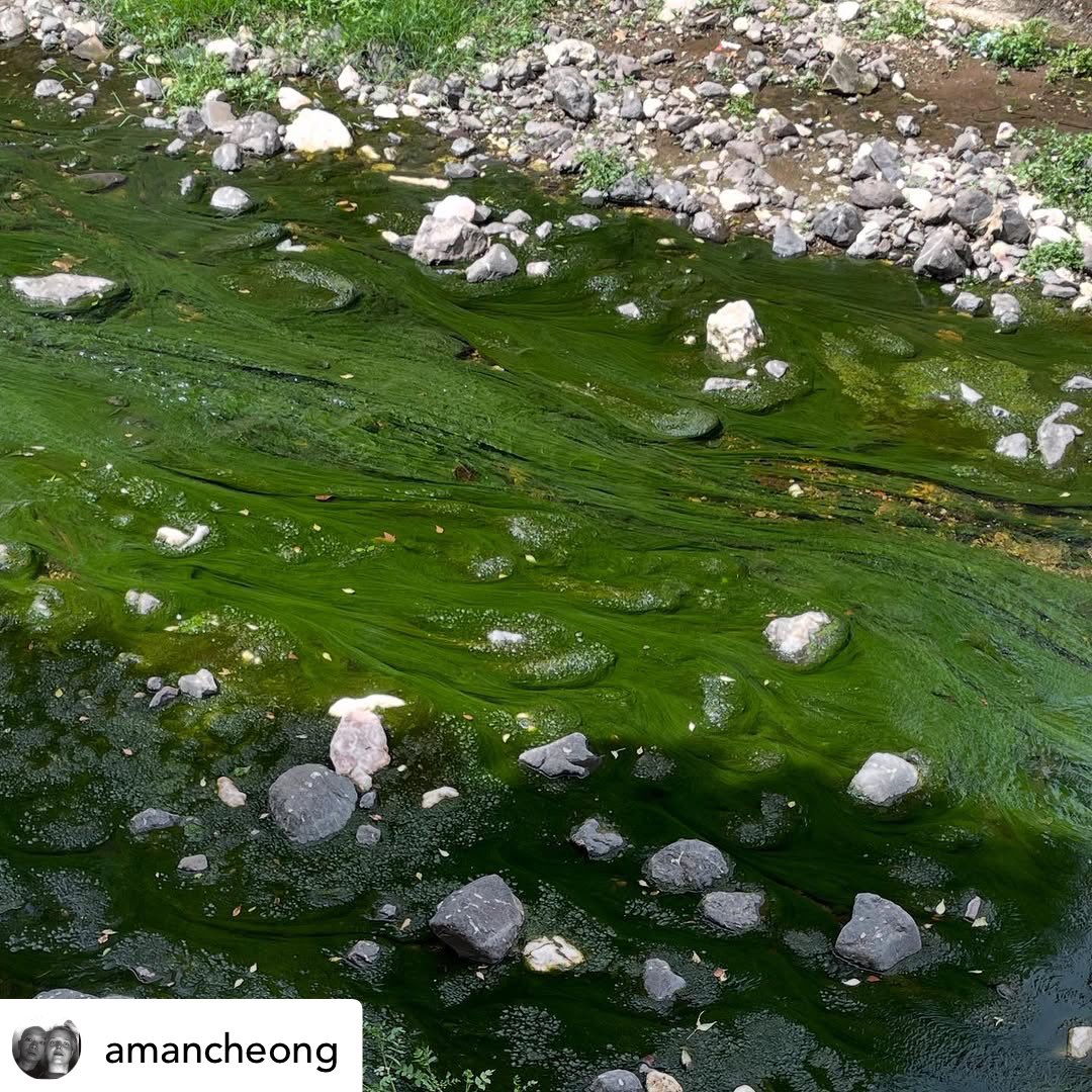 Cheong Kin Man 張健文 tweet media