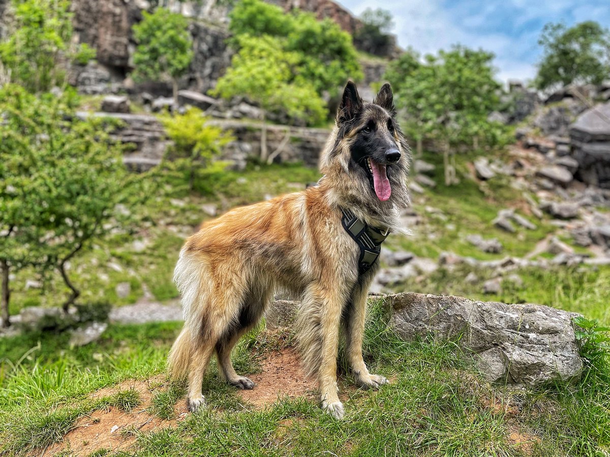 Kieran Hunt ™ tweet media