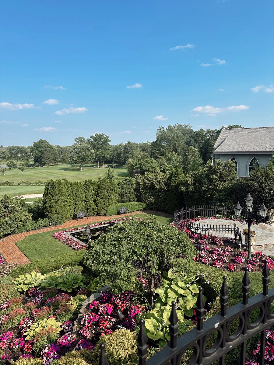 PolmannPep tweet media