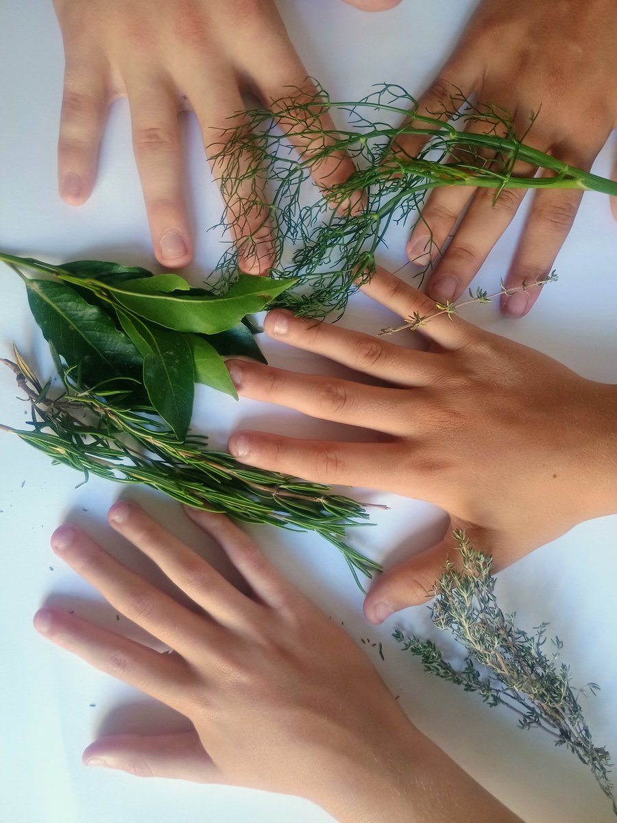 GRANJA PIFARRÉ (@granjapifarre) on Twitter photo El diumenge 22 de juny compartirem el taller "FARMACIOLA DE PAGÈS" per posar en pràctica els remeis tradicionals de les padrines de <a href="/hortadelleida/">Horta de Lleida</a> i endur-nos un estoig del <a href="/CCSegria/">Consell Comarcal del Segrià</a> amb remeis naturals.
Més informació a: granjapifarre.com El diumenge 22 de juny compartirem el taller "FARMACIOLA DE PAGÈS" per posar en pràctica els remeis tradicionals de les padrines de <a href="/hortadelleida/">Horta de Lleida</a> i endur-nos un estoig del <a href="/CCSegria/">Consell Comarcal del Segrià</a> amb remeis naturals.
Més informació a: granjapifarre.com