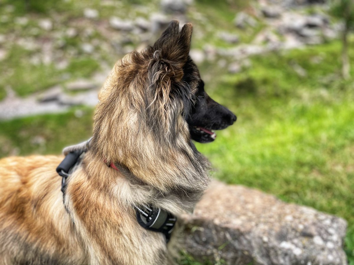 Kieran Hunt ™ tweet media