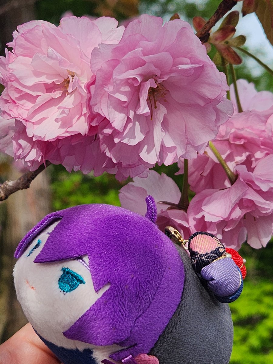 ちはや🌸1/11ｲﾝﾃ6号館Aサ45ab (@chihayaxx) / Posts / X